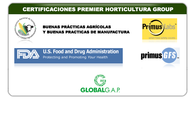 certificaciones premier